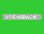 怎么看淘宝消费总额？怎么查看账单？