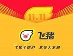 飞猪双11有活动吗？双11飞猪领券攻略