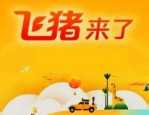 入驻飞猪需要什么条件？入驻飞猪效果如何？