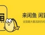 闲鱼币怎么用最划算，可以换人民币吗？