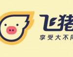 飞猪退票手续费是多少？改签手续费多少？