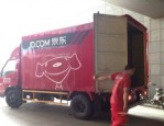 京东支付有礼是什么？在哪里领取？