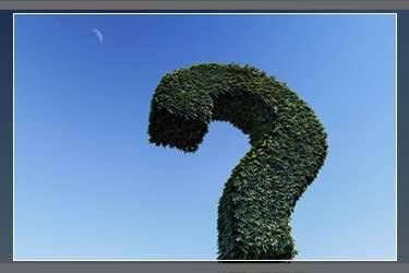 拼多多第三方工具是什么？第三方工具哪个好用？