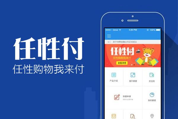 苏宁任性付有额度用不了怎么办？.jpg