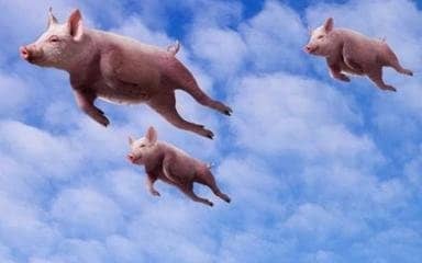 飞猪学生票怎么买？飞猪可以买学生票吗？