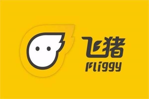 飞猪行程单在哪里打印？飞猪行程单能在机场打印吗？