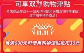 双11购物津贴